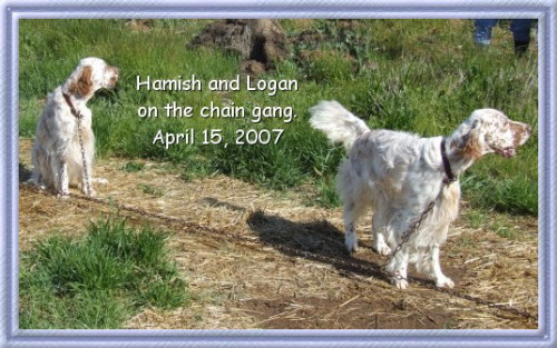 Hamish & Logan on the Chain Gang