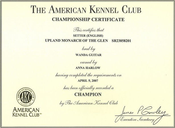 Hamish Champion Certificate