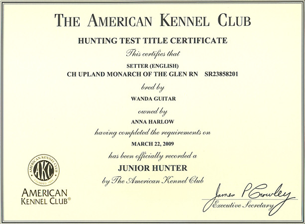 Hamish Junior Hunter Certificate