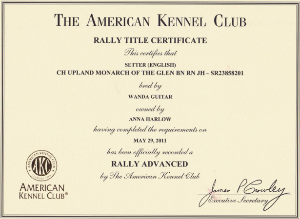 Hamish Rally Advanced Certificate