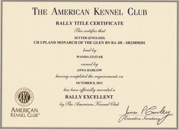 Hamish Rally Excellent Certificate